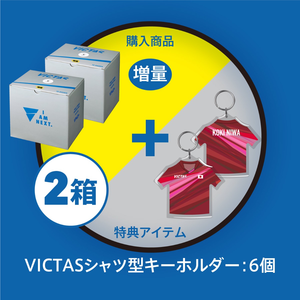 VP+40トレーニングボール10ダース10球増量箱 × 2箱 ＋ VICTASシャツ型キーホルダー×6個