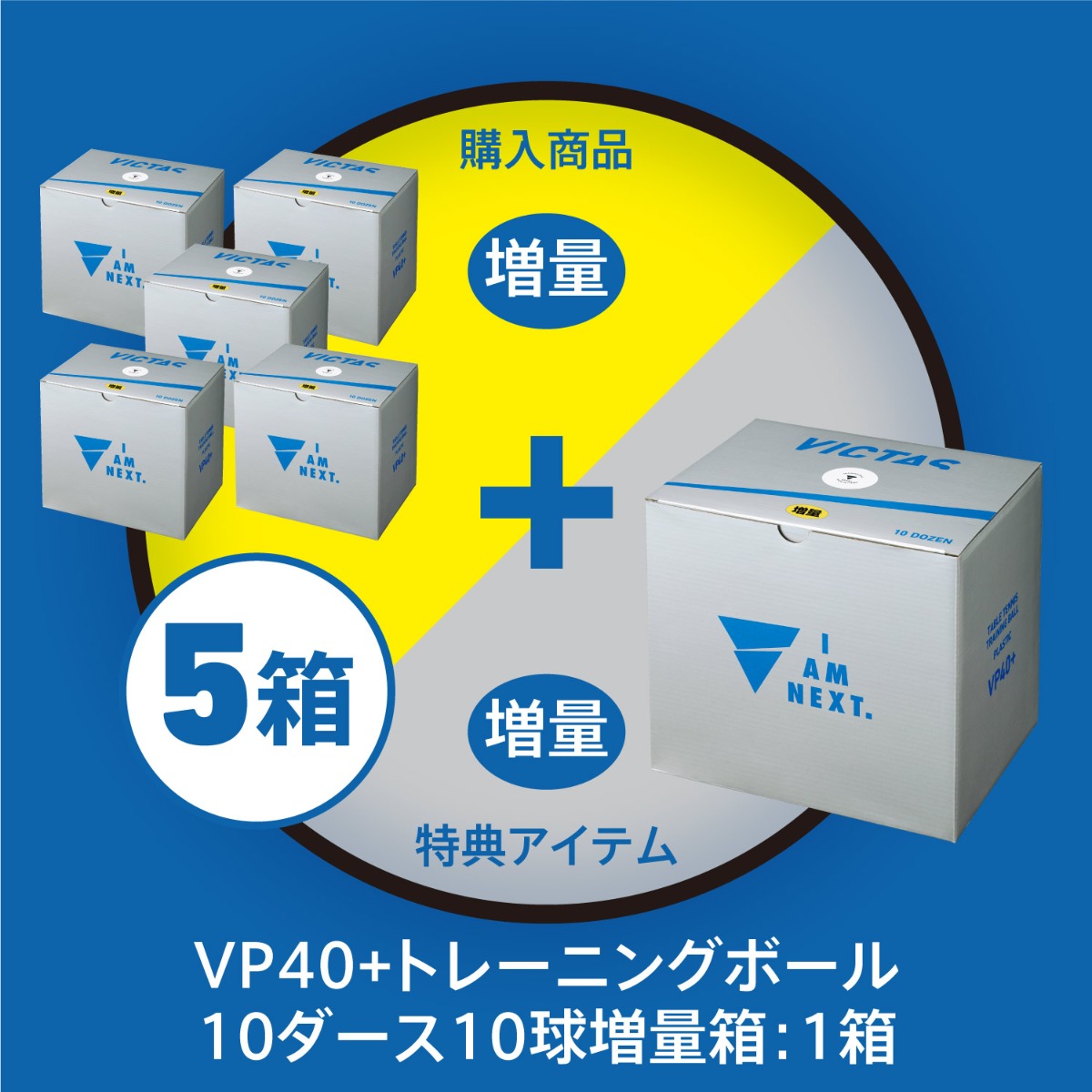 VP+40トレーニングボール10ダース10球増量箱 × 5箱 ＋ VP+40トレーニングボール10ダース10球増量箱 ：1箱