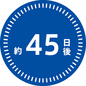 約45日後