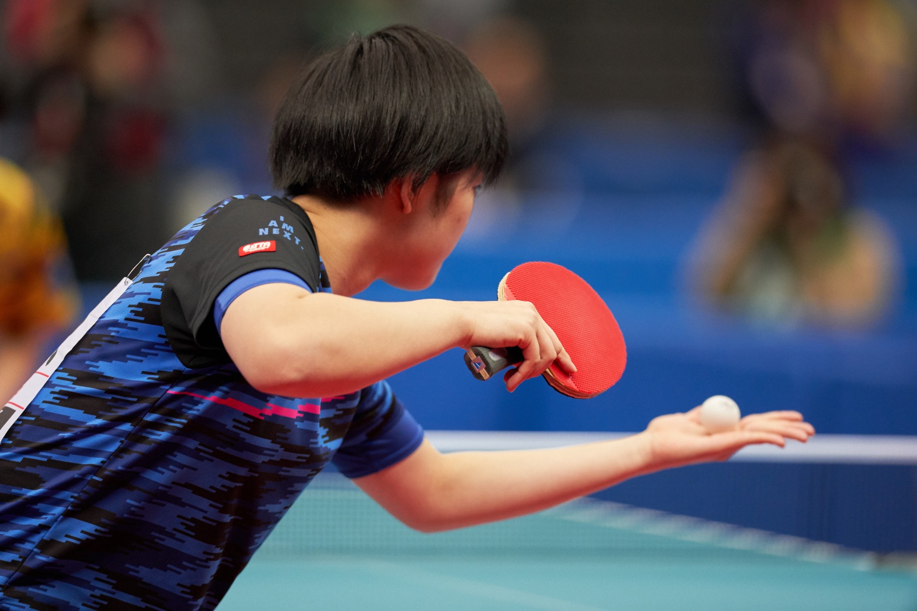 木原美悠選手