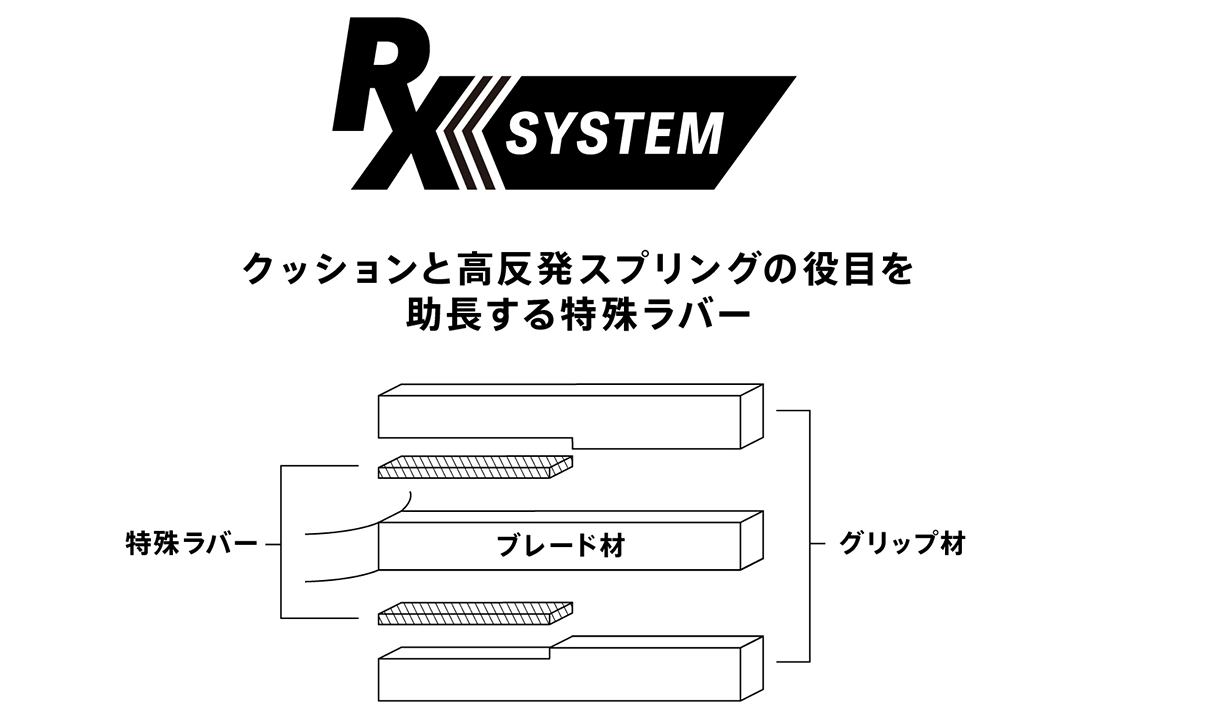 RX SYSTEM