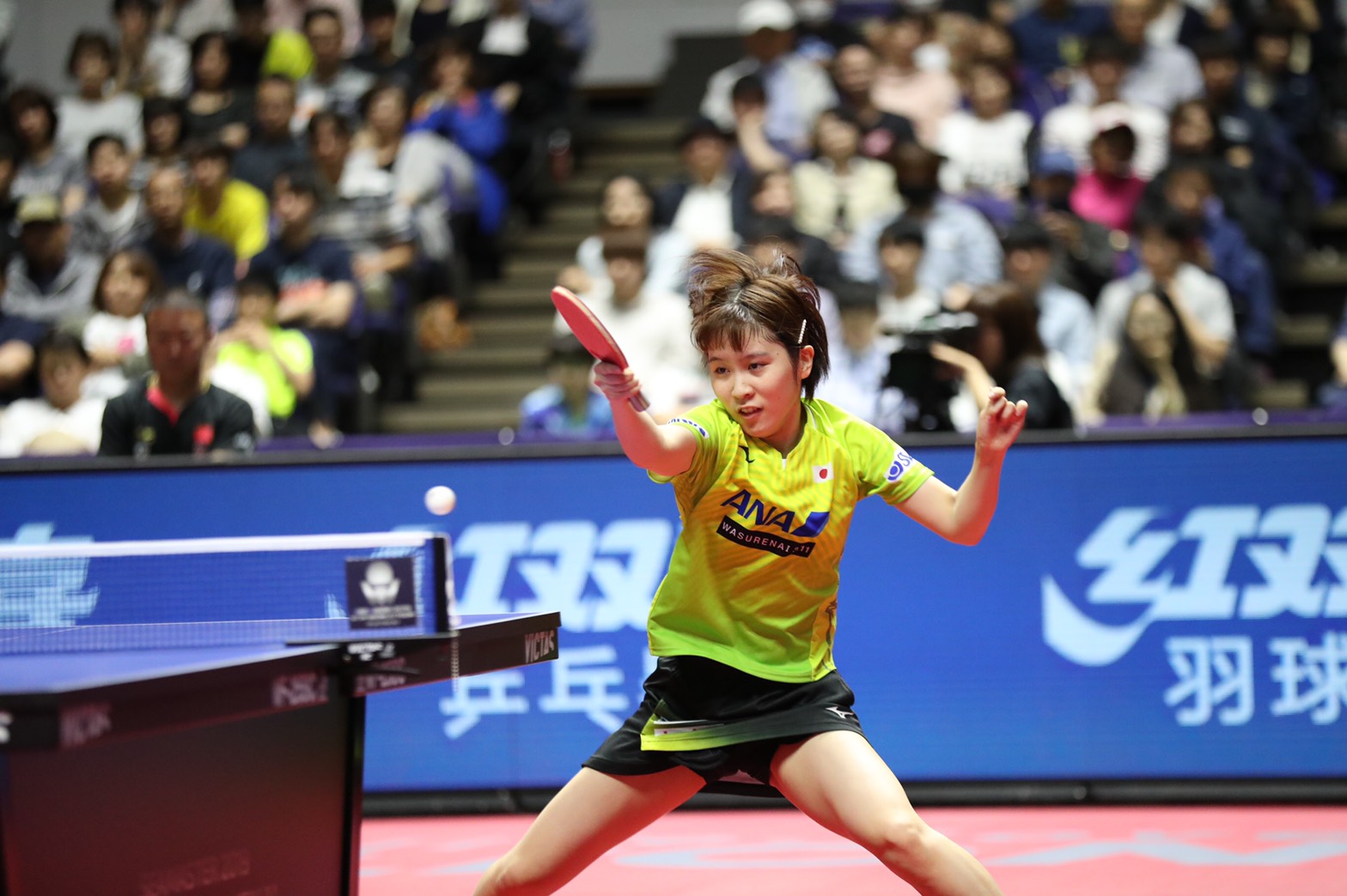 ITTFワールドツアープラチナ・ライオン卓球ジャパンオープン荻村杯　女子シングルス準決勝　平野美宇